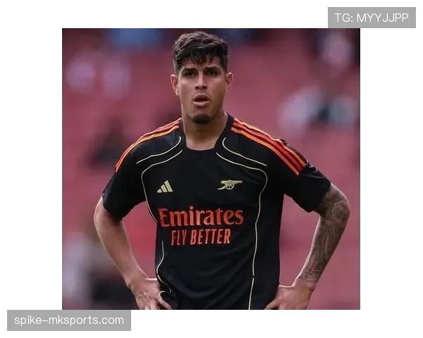 阿森纳铁卫萨利巴状态回暖，稳固防线助球队防守再升级