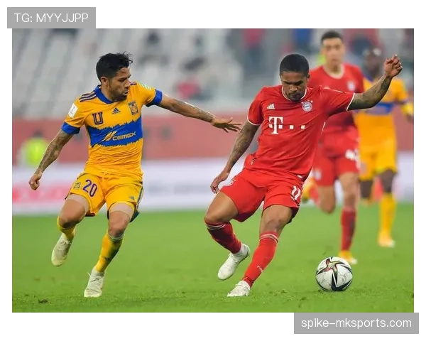 德甲新赛季阵容迎新面孔，多队引援补强值得关注